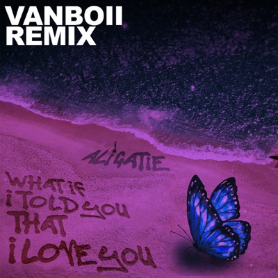  - What If I Told You That I Love You (Vanboii Remix)