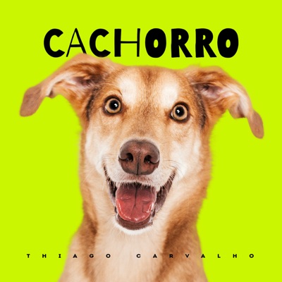  - Cachorro