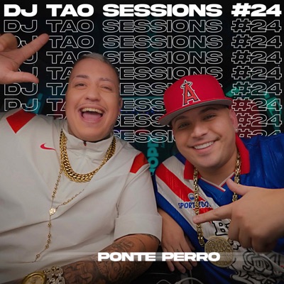  - PONTE PERRO  DJ TAO Turreo Sessions #24