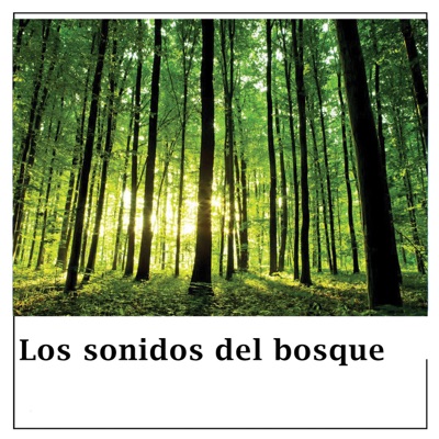  - Los Sonidos Del Bosque