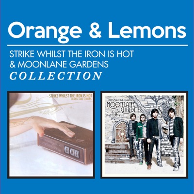 Orange & Lemons - Strike Whilst the Iron Is Hot & Moonlane Gardens Collection