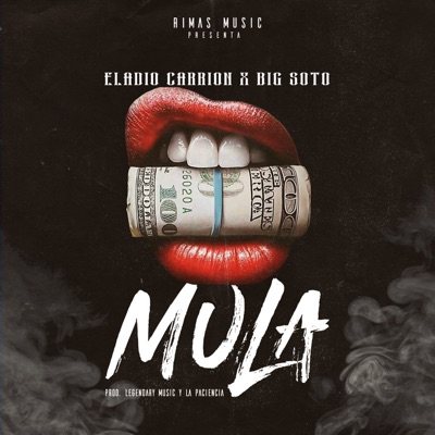  - Mula