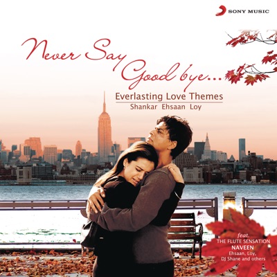 Naveen Kumar, Shankar Ehsaan Loy - Never Say Good Bye