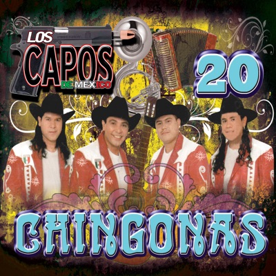  - 20 Chingonas