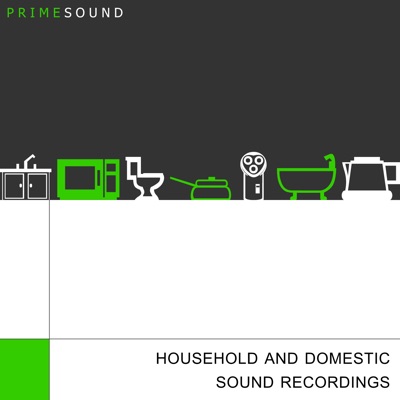  - Household and Domestic Sound Recordings