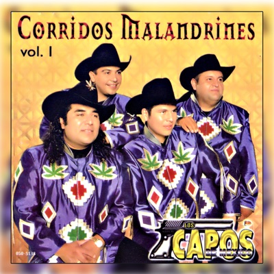  - Corridos Malandrines Vol. 1