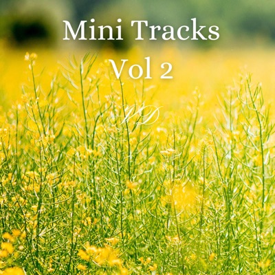  - Mini Tracks, Vol. 2