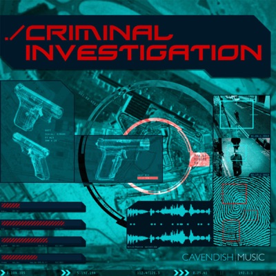  - Criminal Investigation