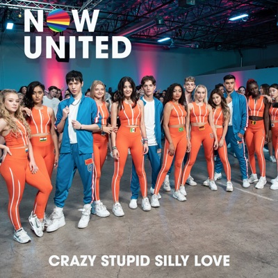  - Crazy Stupid Silly Love