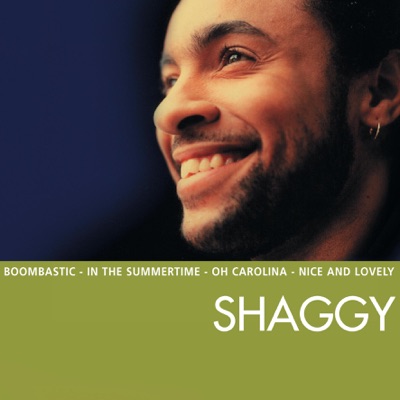  - The Essential Shaggy