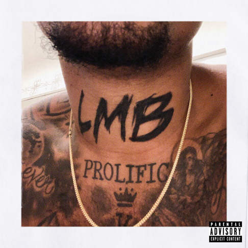 LMB DG - Pull Up