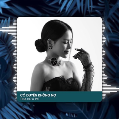  - Có Duyên Không Nợ (TVT Remix)