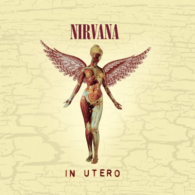  - In Utero (20th Anniversary Edition)