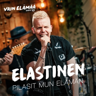  - Pilasit mun elämän (Vain elämää kausi 10)