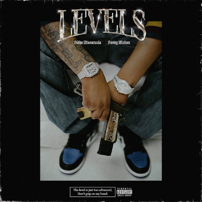  - Levels (feat. Sunny Malton)