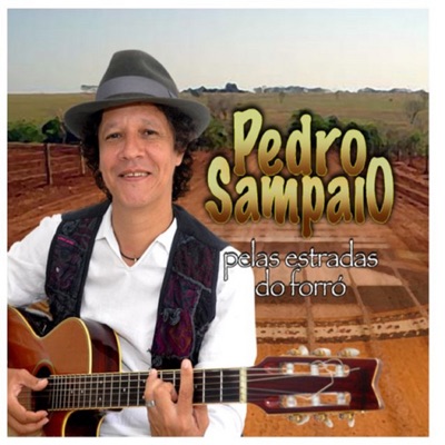  - Pelas Estradas do Forró